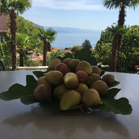 Anicic Apartment Opatija